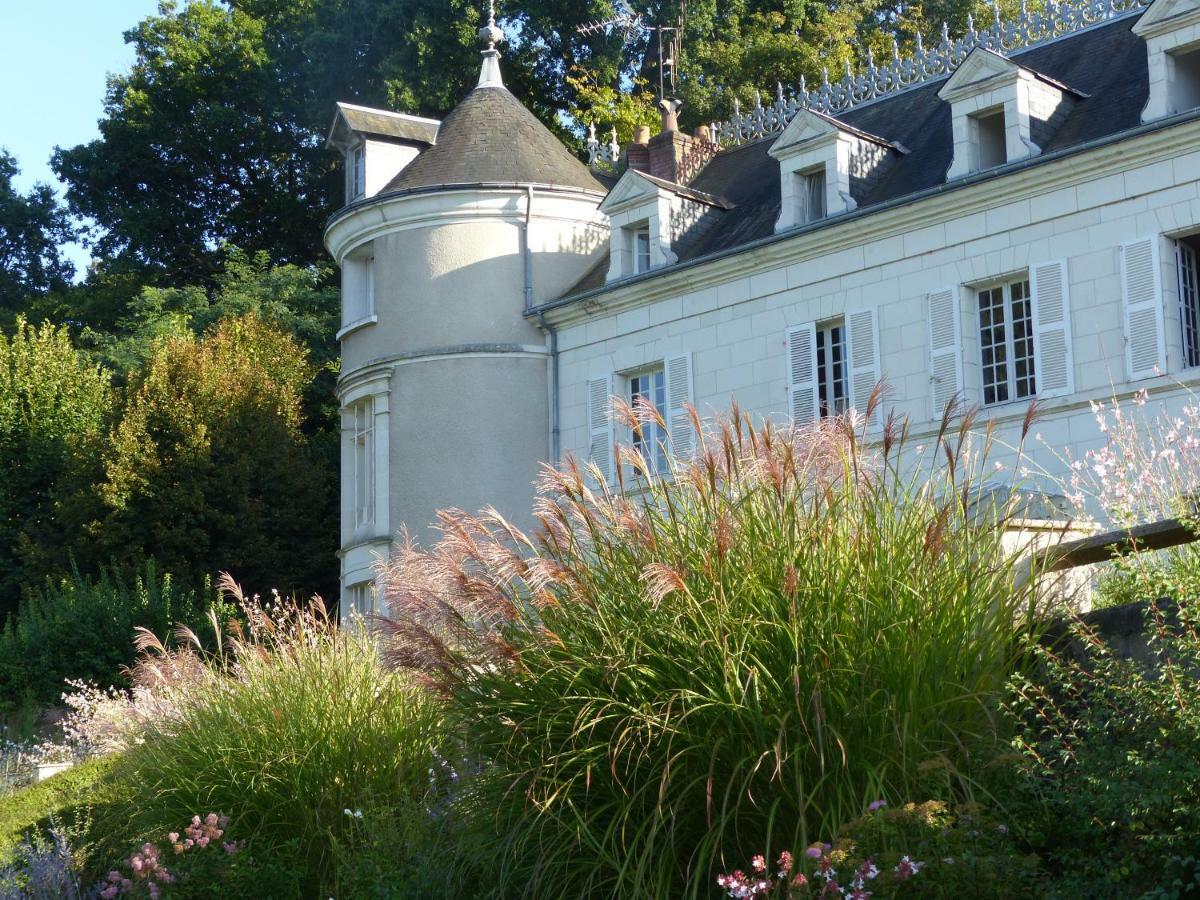 Bed and Breakfast Manoir De La Vigneraie Athée-sur-Cher Exterior foto