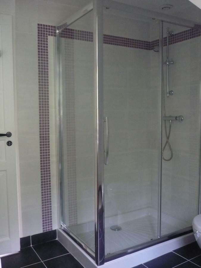 Bed and Breakfast Manoir De La Vigneraie Athée-sur-Cher Exterior foto